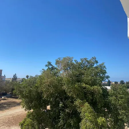 Mediterranean 2